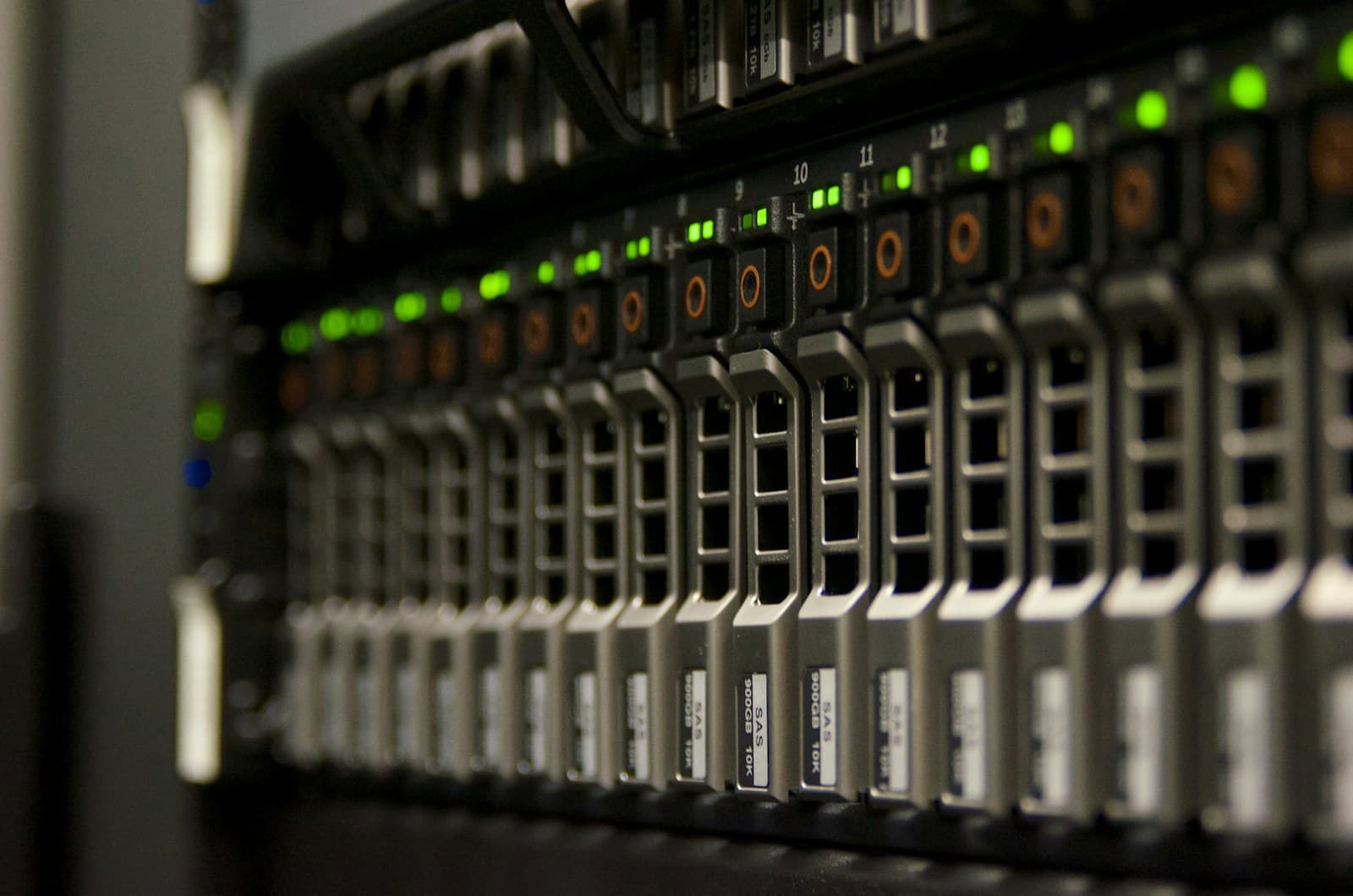 Close-up of a row of server hard drives in a rack, their green activity lights blinking