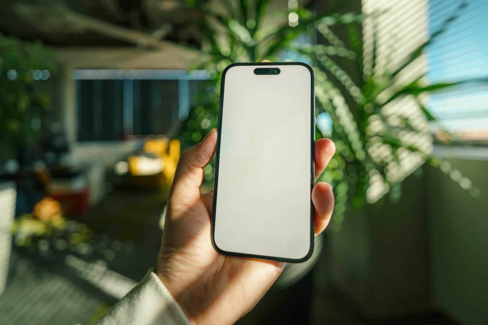 A hand holds up a smartphone with a blank white screen in a sunny office with a large green plant behind it