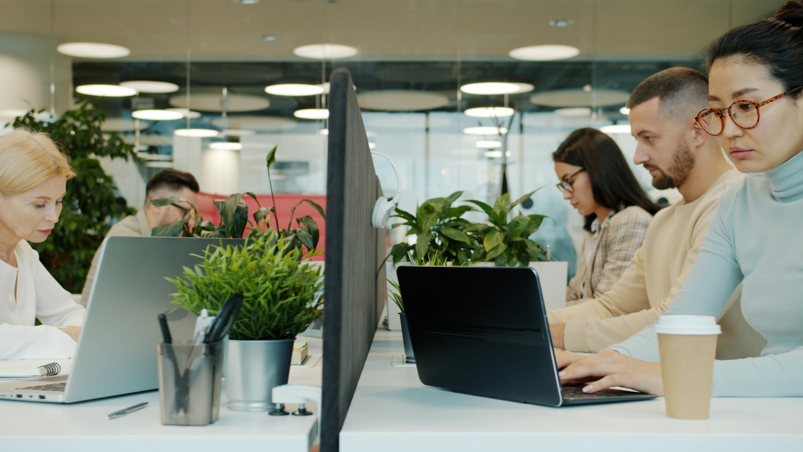 People working on laptops along shared desks in a bright open-plan office with plants and a takeaway coffee cup