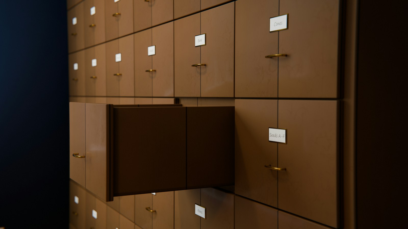 A wall of wooden archive drawers with small labels such as Cones and Seeds A-F, one drawer pulled open